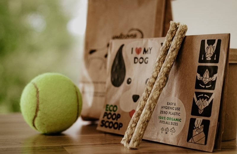 Een diervriendelijke vakantie aan de kust bij De ZeeParel